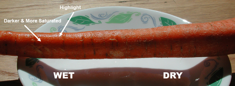 Wet Carrot